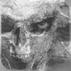 oldwolf